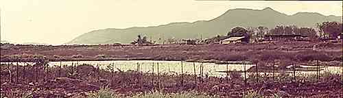 lagoon with 1Fd Sqn in distance - Photo by Gerry Lloyd lagoon with 1Fd Sqn in distance - Photo by Gerry Lloyd