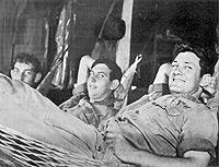 hammocks