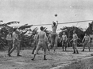 volley ball